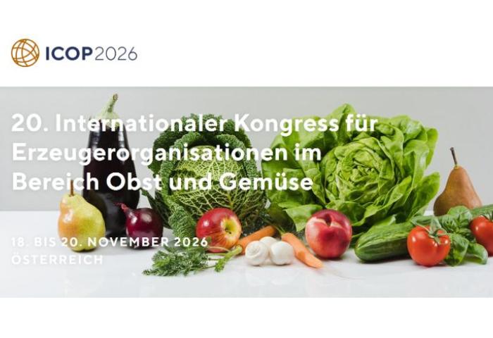 icop banner mit infos