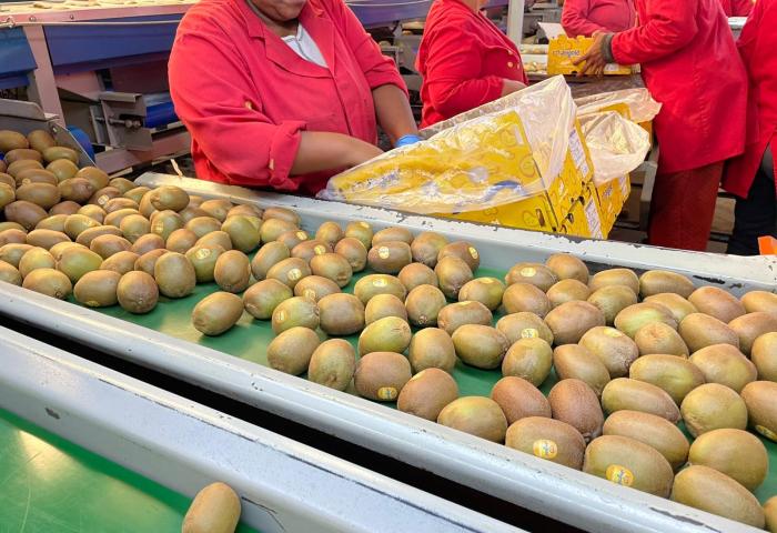 Blick in eine Kiwi-Packstation mit Arbeitenden