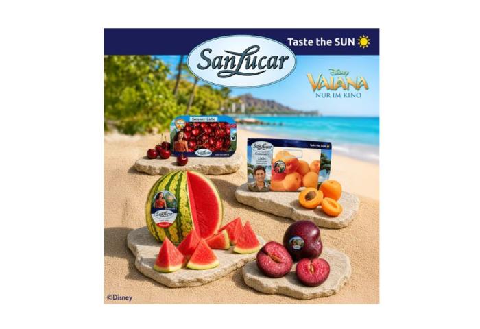 Früchte auf Brettern am Strand