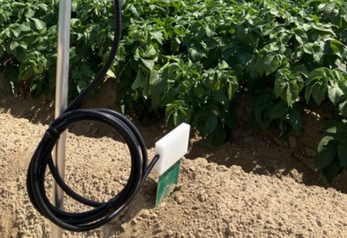 Sensor misst Bodenfeuchte