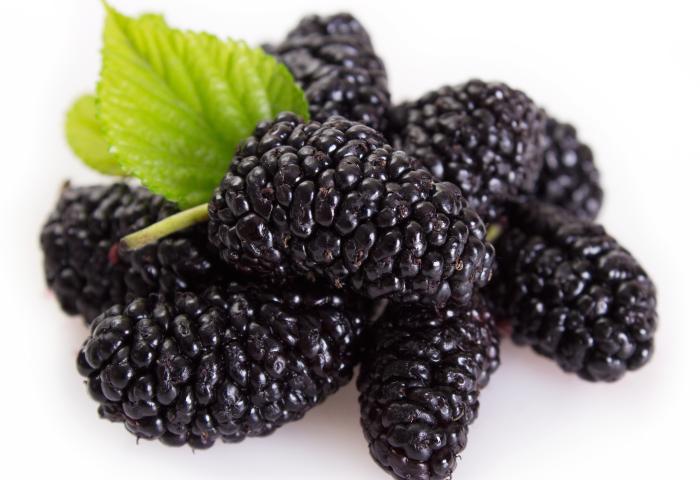 Brombeeren