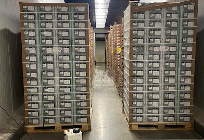 Avocado Ripening Room