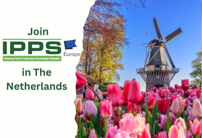 Logo der IPPS Konferenz in den Niederlanden