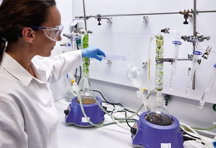 Frau führt Labortests mit Avocados durch