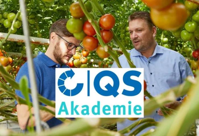 Männer stehen in Tomatengewächshaus und unterhalten sich