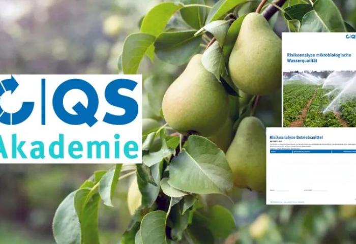 Birnen am Baum und Infoscreens zur Risikoanalyse