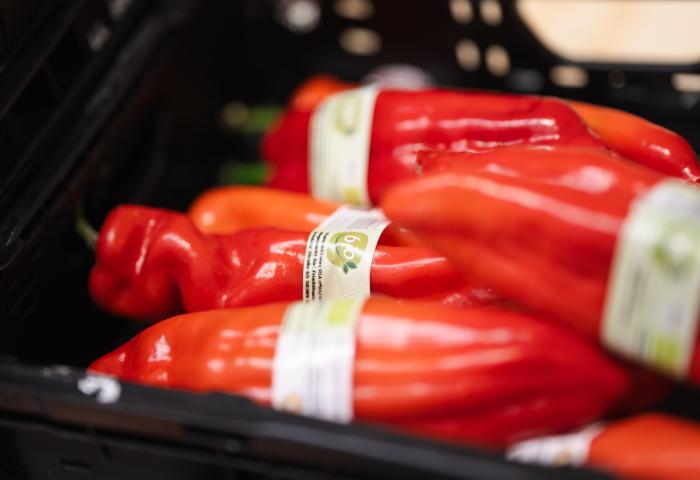 Mehrere rote Paprika nebeneinander