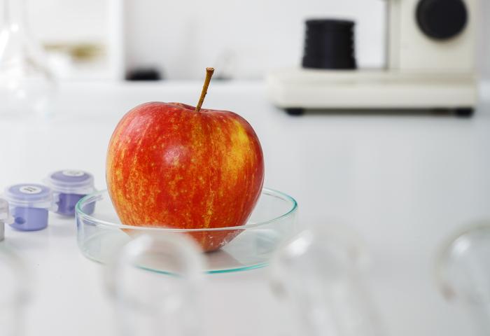 Apfel in Petrischale in Labor