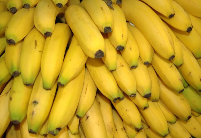 Viele gelbe Bananen zusammen.