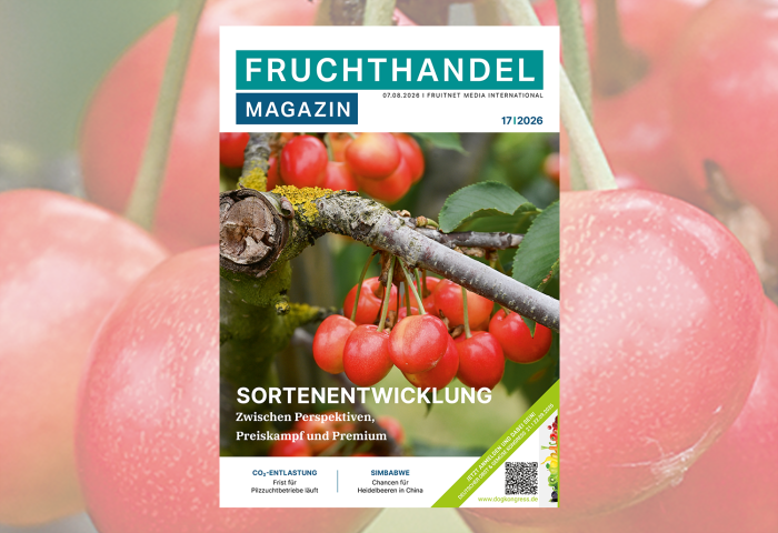 Cover Ausgabe 17-2026