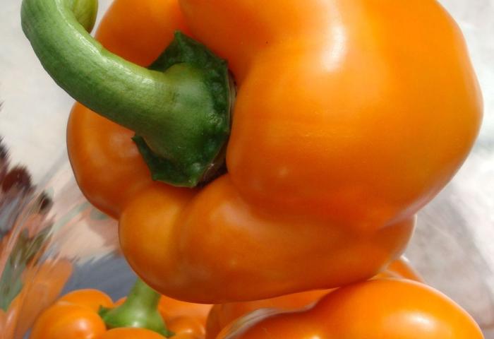 gelborangene Paprika