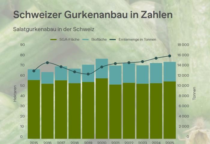 Übersicht Gurkenanbau über mehrere Jahre