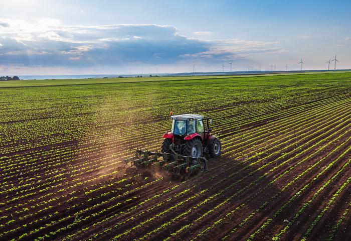 Traktor auf dem Feld