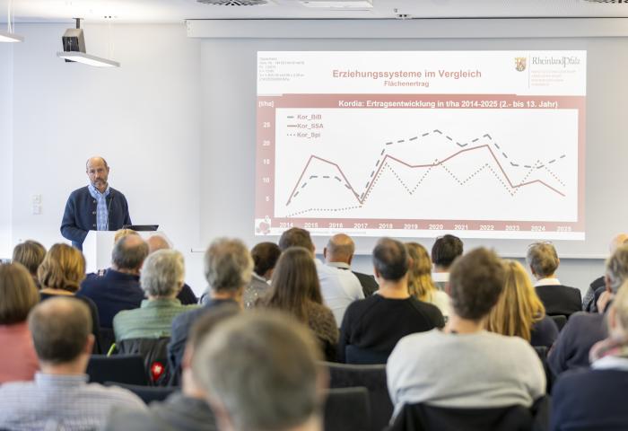 Mann hält Vortrag vor Plenum