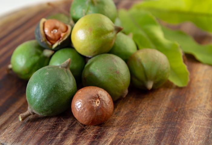 Macadamias in der Schale