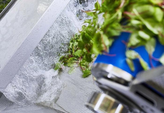 Salat wird in Maschine gewaschen