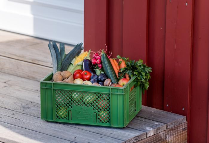 Kiste mit Obst und Gemüse