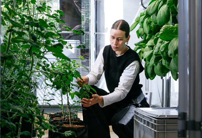 Frau kümmert sich um Pflanzen beim Projekt GreenFarmTEC