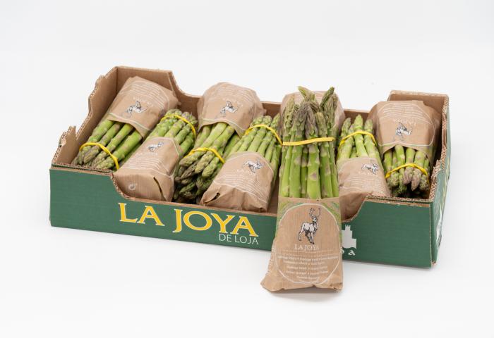 Grünspargel der Marke La Joya in verschiedenen Papierverpackungen und Bündeln in einer grünen Transportkiste.