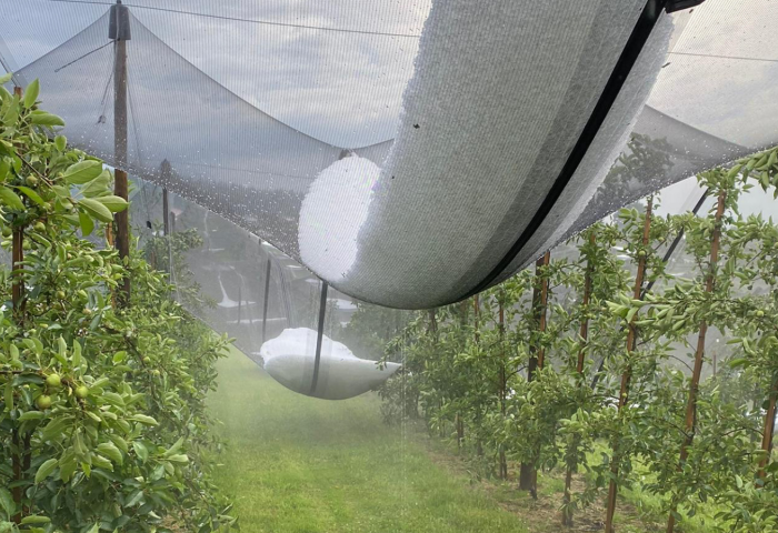 mit Hagel beschwerte Netze über Obstplantage