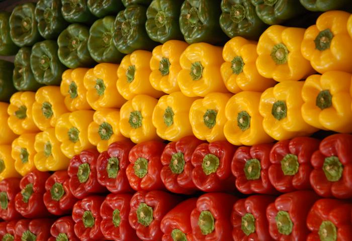 rote, gelbe und grüne Paprika
