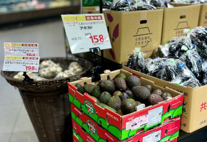 Avocado-Kartons am Point of Sale
