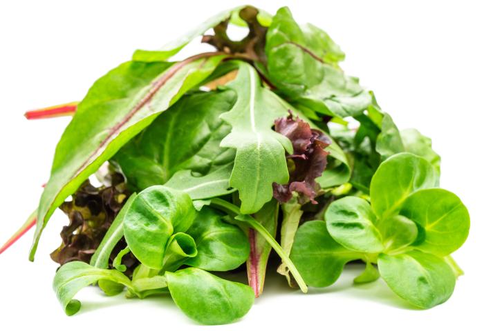 Fresh-Cut-Salat