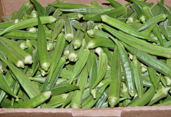 Zahlreiche Okras in einem Karton