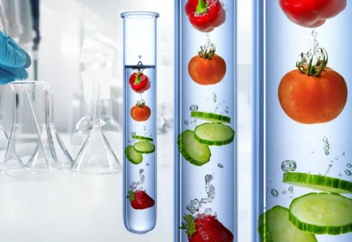 ganzes und in Scheiben geschnittenes Obst und Gemüse im Reagenzglas