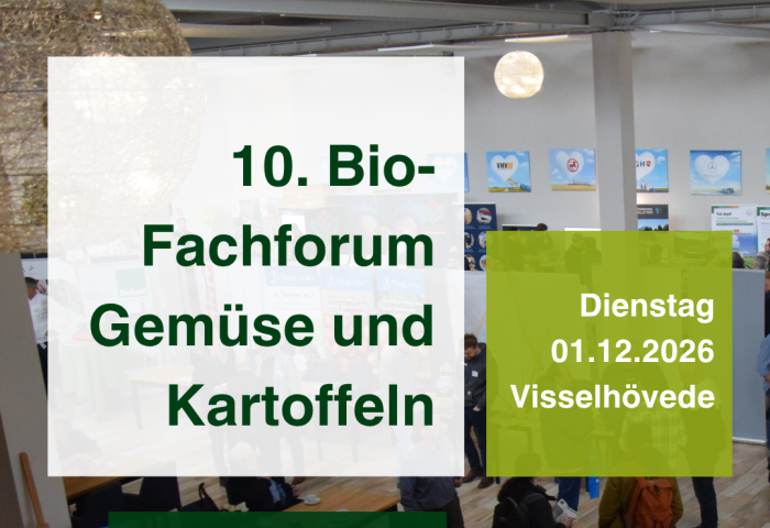 Infoblatt zur Veranstaltung