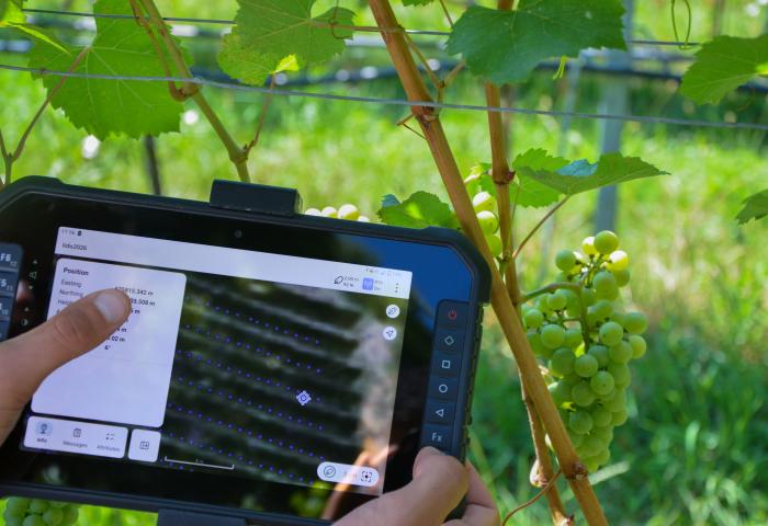 Tablet mit Anzeigen in der Plantage