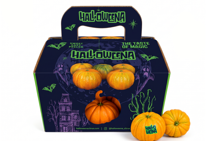 Mandarinen liegen vor der Verpackung mit Halloween-Motiv und darin