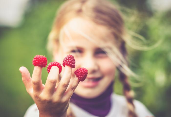 Mädchen mit vier Himbeeren auf ihren Fingerkuppen 