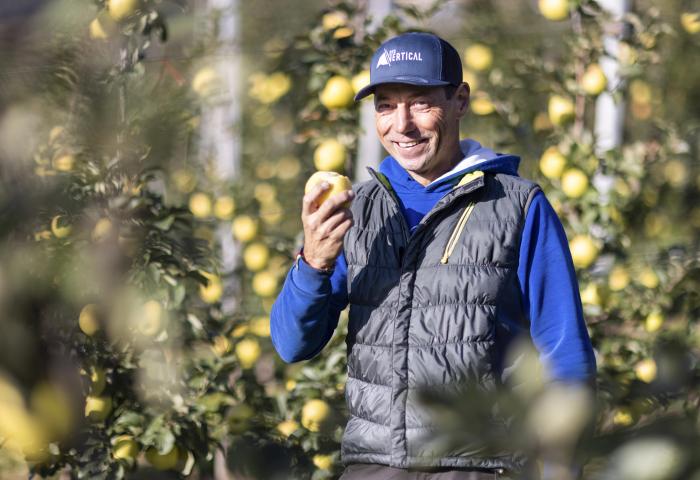Mann steht in Plantage und hält Apfel in der Hand