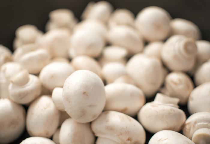 weiße Champignons