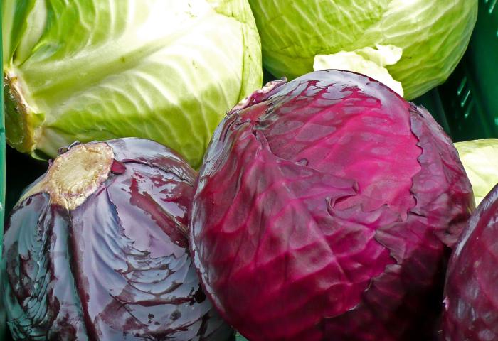 Weiß- und Rotkohl