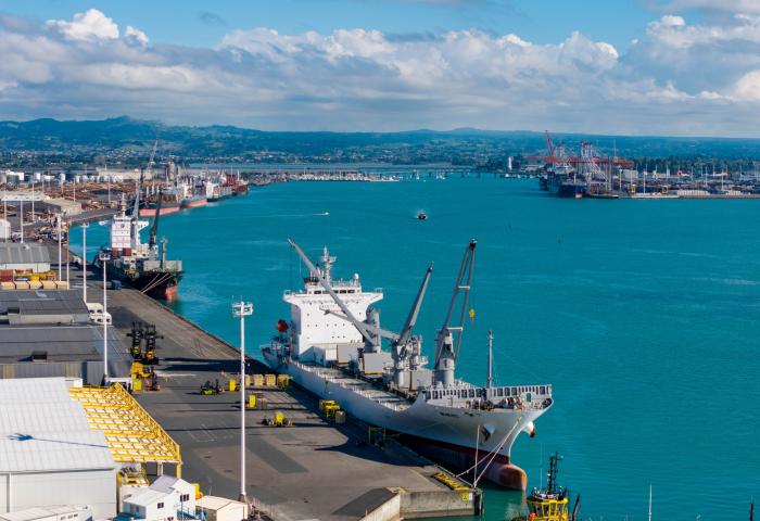 Containerschiff liegt im Hafen