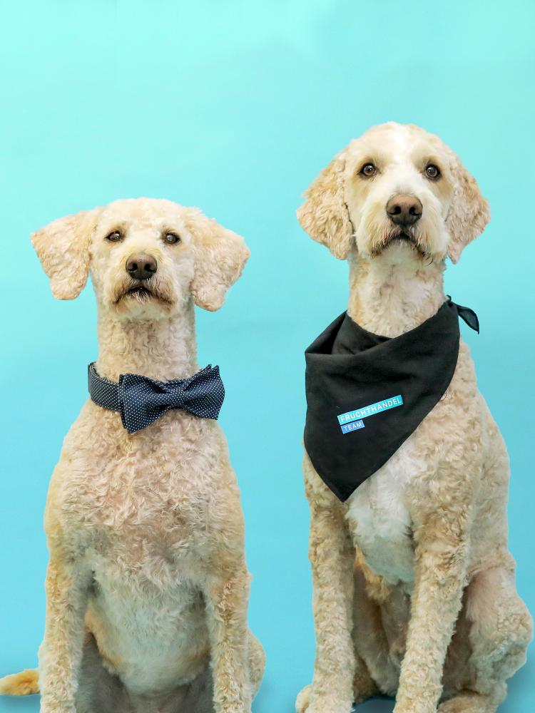 Portrait Frieda und Kalle