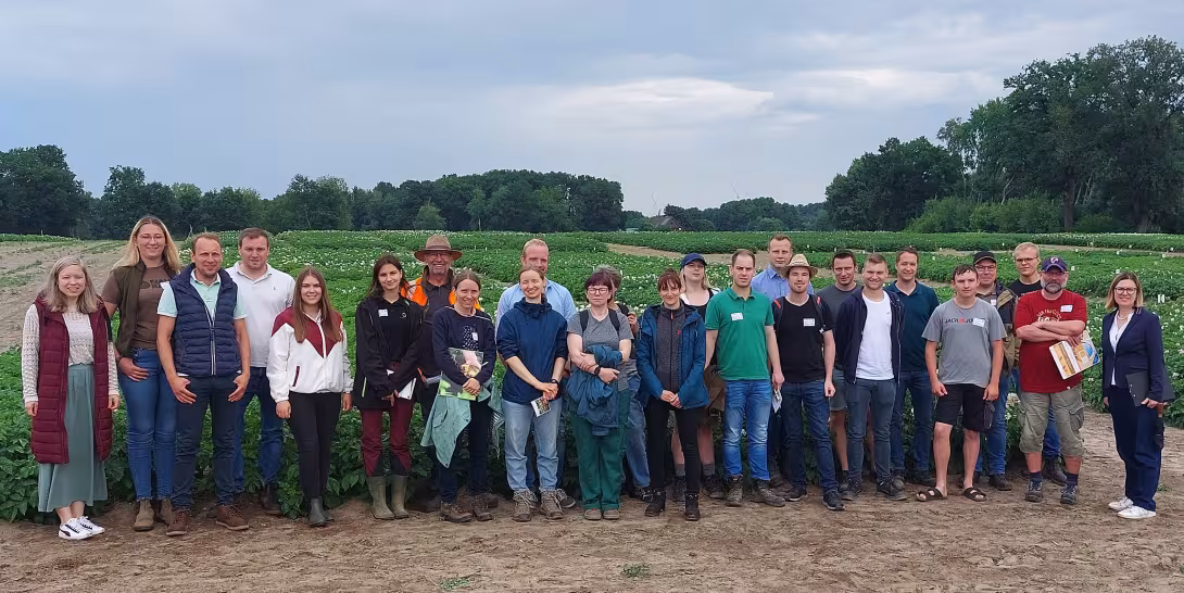 weitere Kleingruppe steht auf einem Feld mit Kartoffelpflanzen unter blauem Himmel