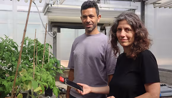 Prof. Yossi Yovel und Prof. Lilach Hadany stehen in einem Gewächshaus neben Pflanzen und halten ein Tablet