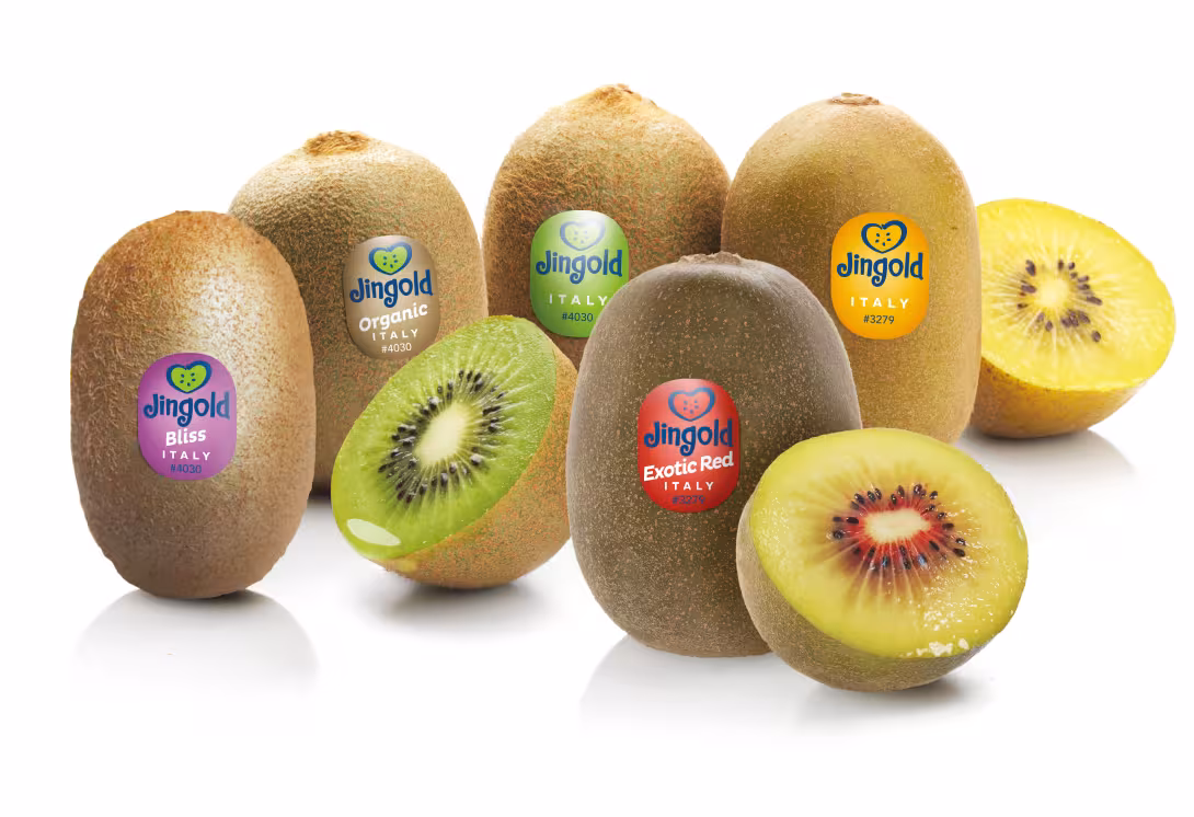 Fünf ganze Kiwis und drei halbe Kiwis der Marke 'Jingold', darunter 'Organic' und 'Exotic Red', auf einem weißen Hintergrund. Die Kiwis sind braun und grün, mit verschiedenen Etiketten.