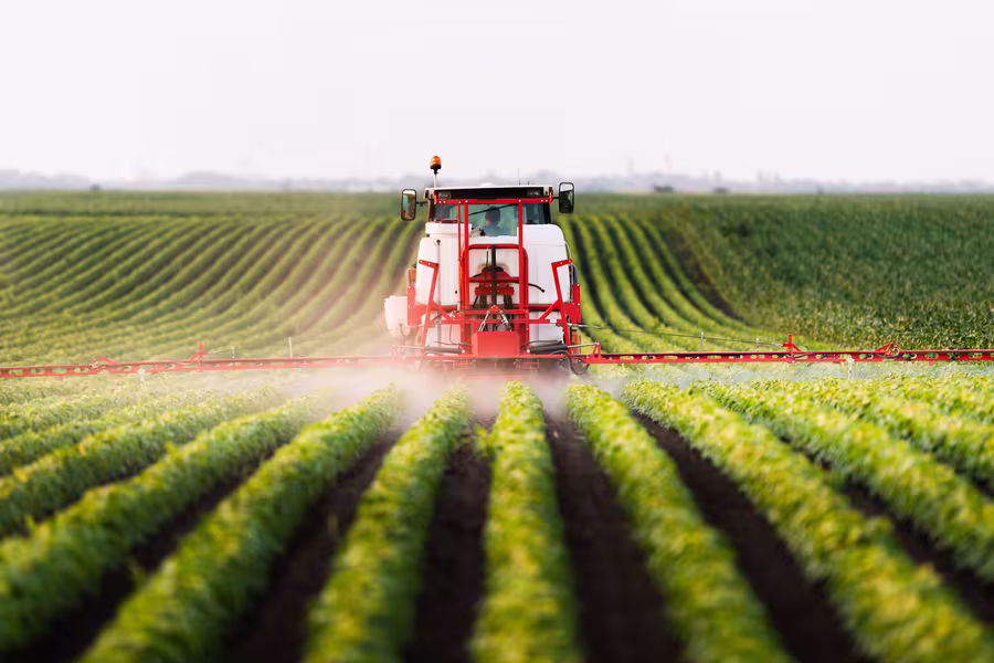 Ein roter Sprühtraktor sprüht Pflanzenschutzmittel über ein Feld mit grünen Pflanzenreihen. Die Pflanzen sind in gleichmäßigen Reihen angeordnet.
