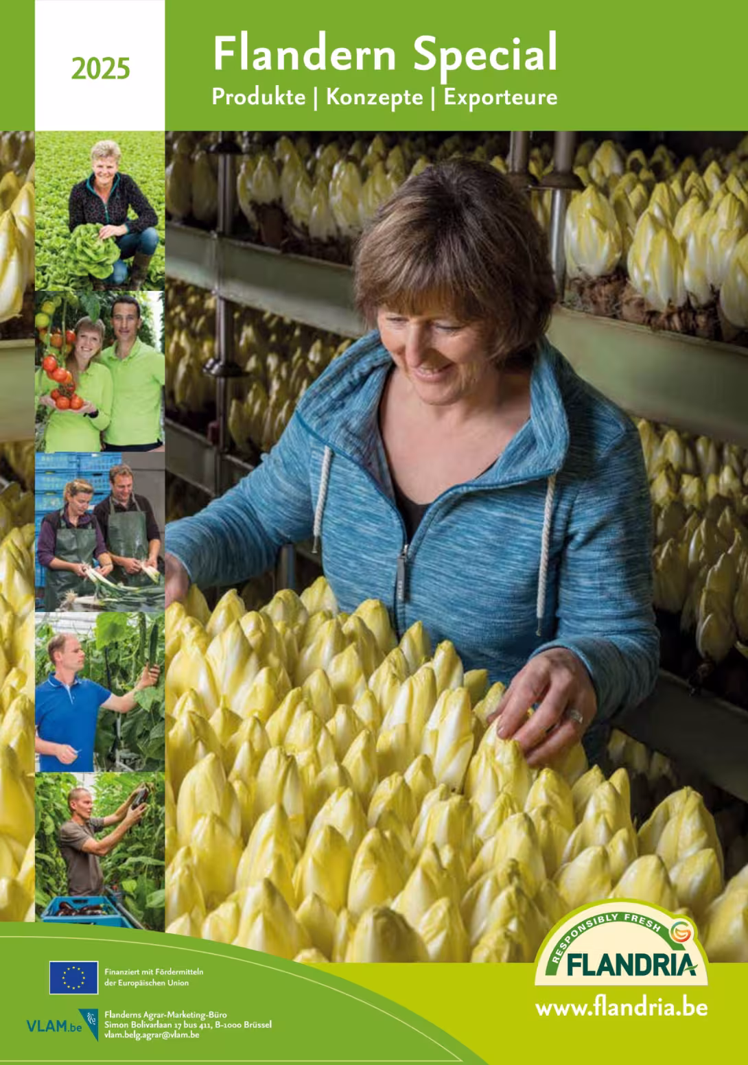 Titelblatt des Fruchthandel Flandern Special 2025 zur Fruit Logistica. Eine Frau in blauem Pullover begutachtet gelben Chicorée in einer Anbauhalle.