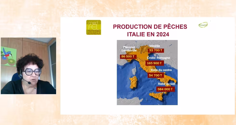 Elisa Macchi, CSO Italy-Direktorin, kommentierte die diesjährige Entwicklung im Pfirsich- und Nektarinenanbau Italiens und zeigt Karte mit Produktionszahlen für 2024 in verschiedenen Regionen.