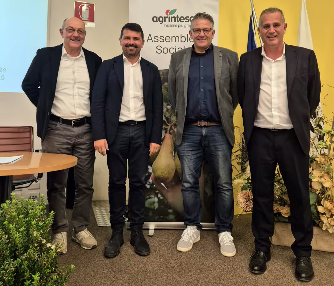 Adriano Aldrovandi, Alessio Mammi, Aristide Castellari, Cristian Moretti (v.l.)