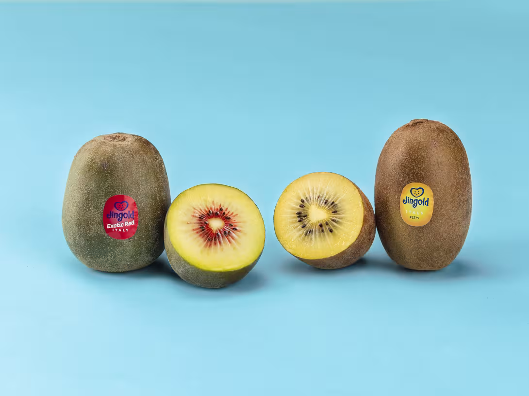 Gelbe und rote Kiwis von Jingold