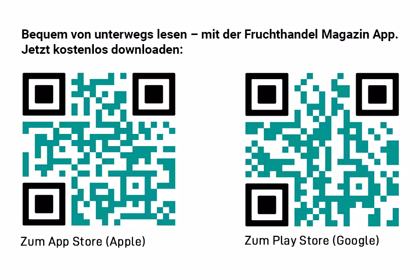 QR-Codes Apple und Google Store