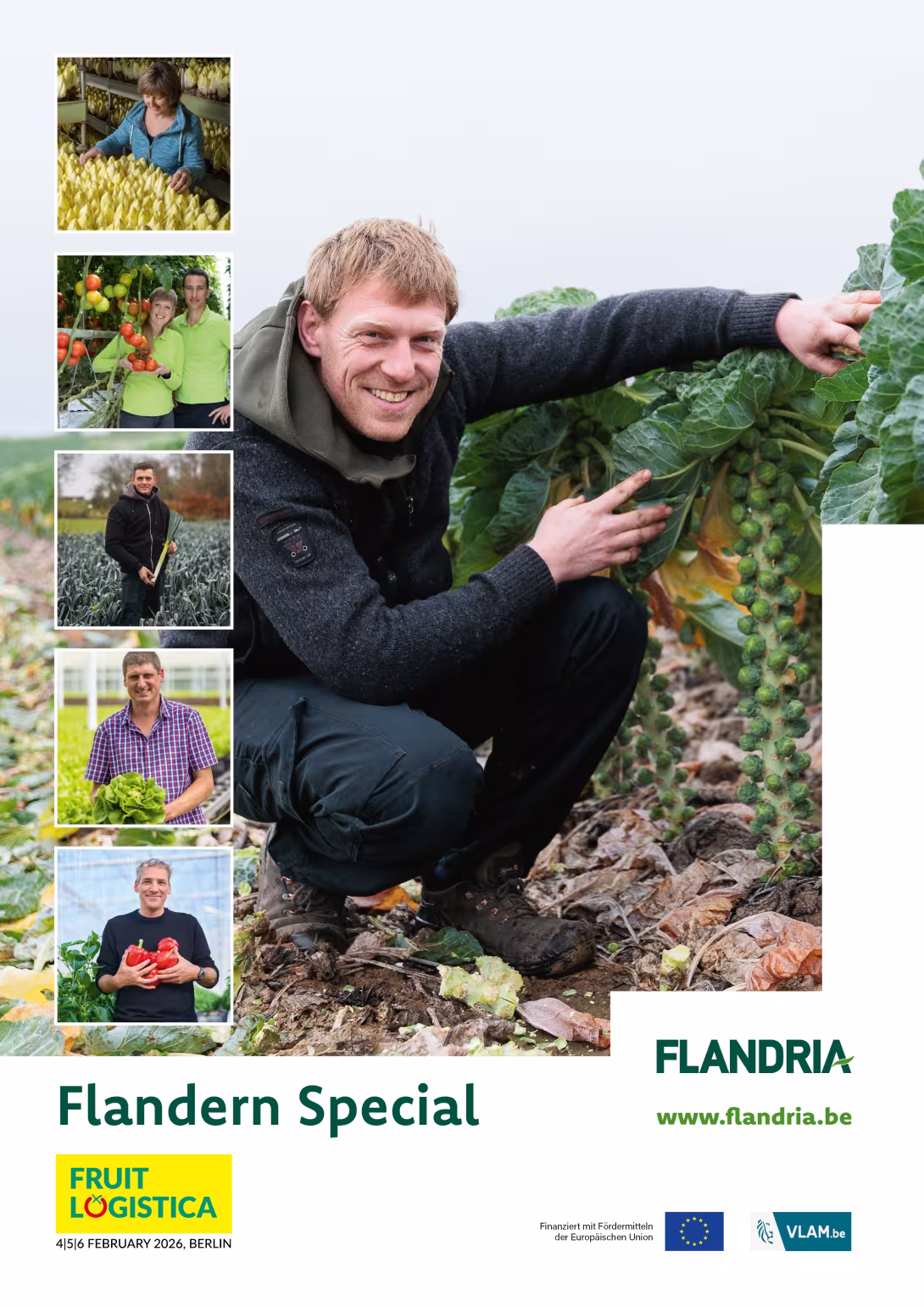 Titelseite 2026 des Länderspecials Flandern