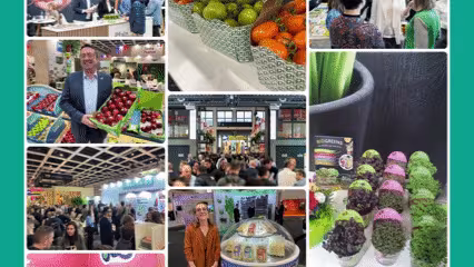 GIF zur FRUIT LOGISTICA 2026 - Bildergalerie