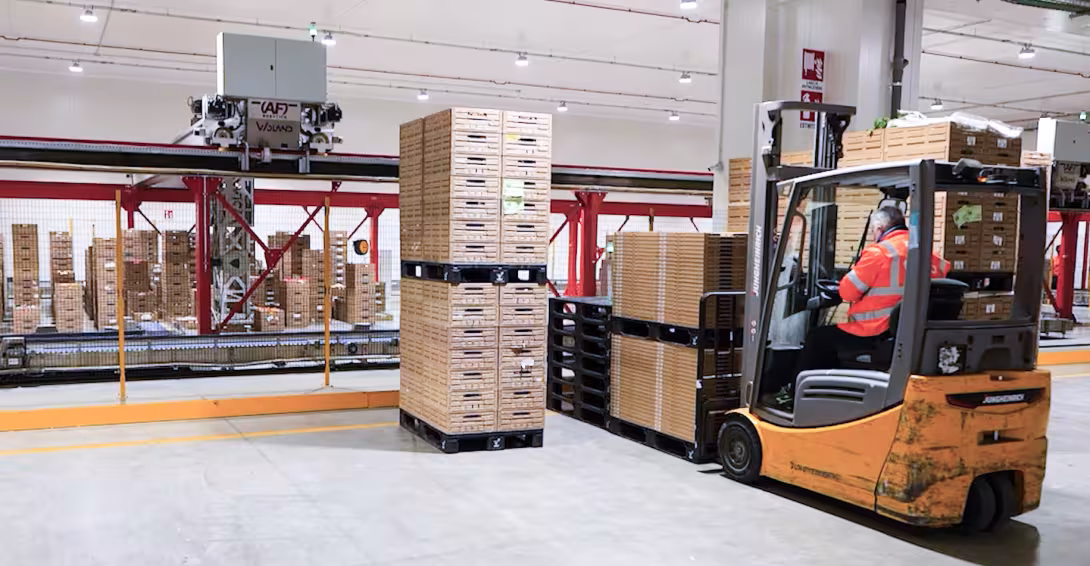 Stapler transportiert Paletten